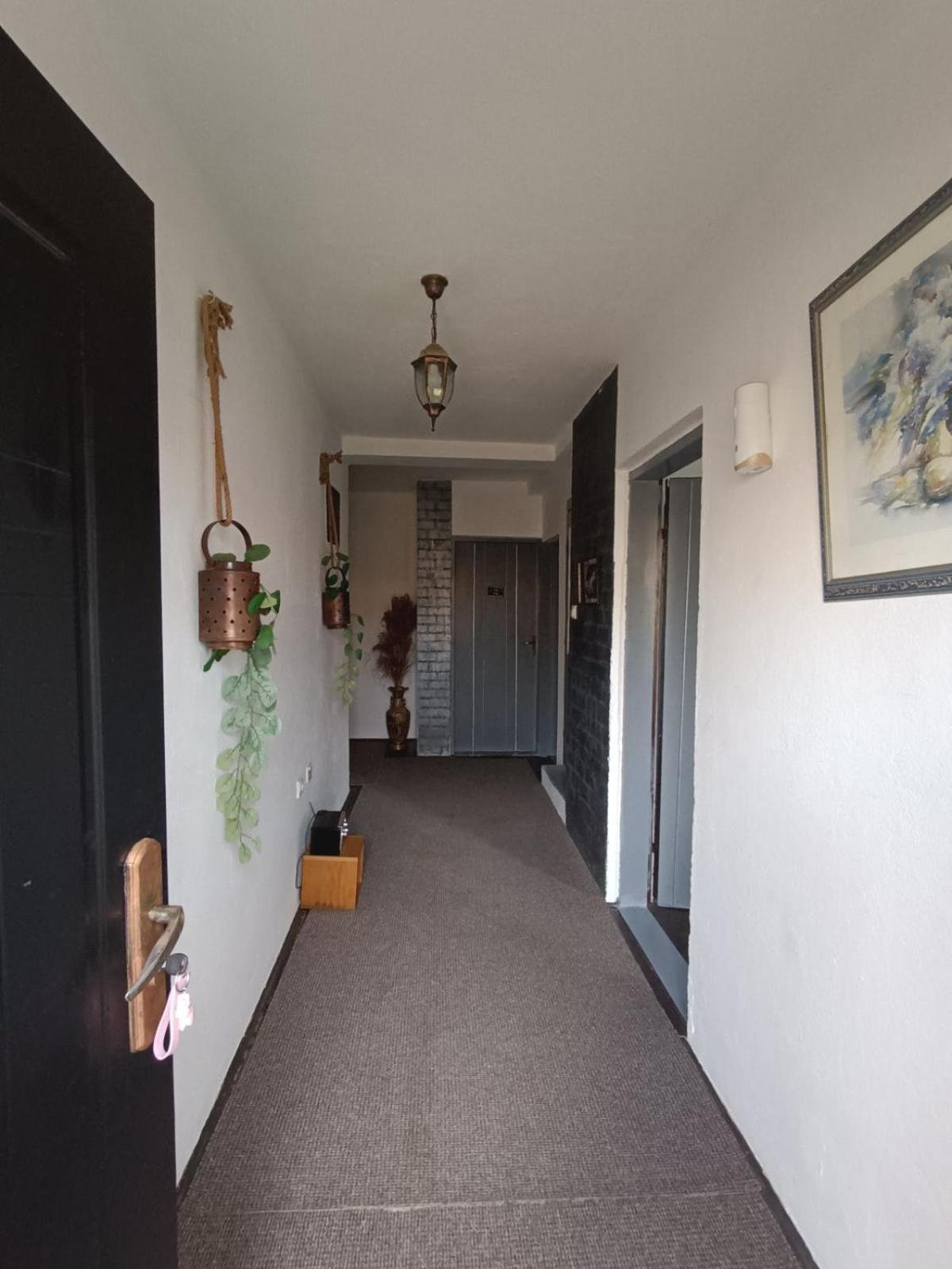 Ferienwohnung Etno Selo Nasa Avlija Blace Exterior foto